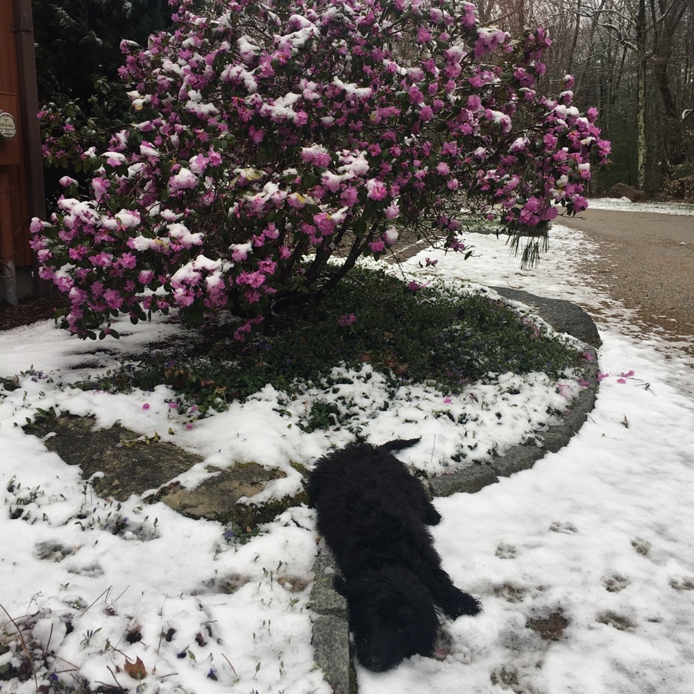 Meet your Posher, Melanie